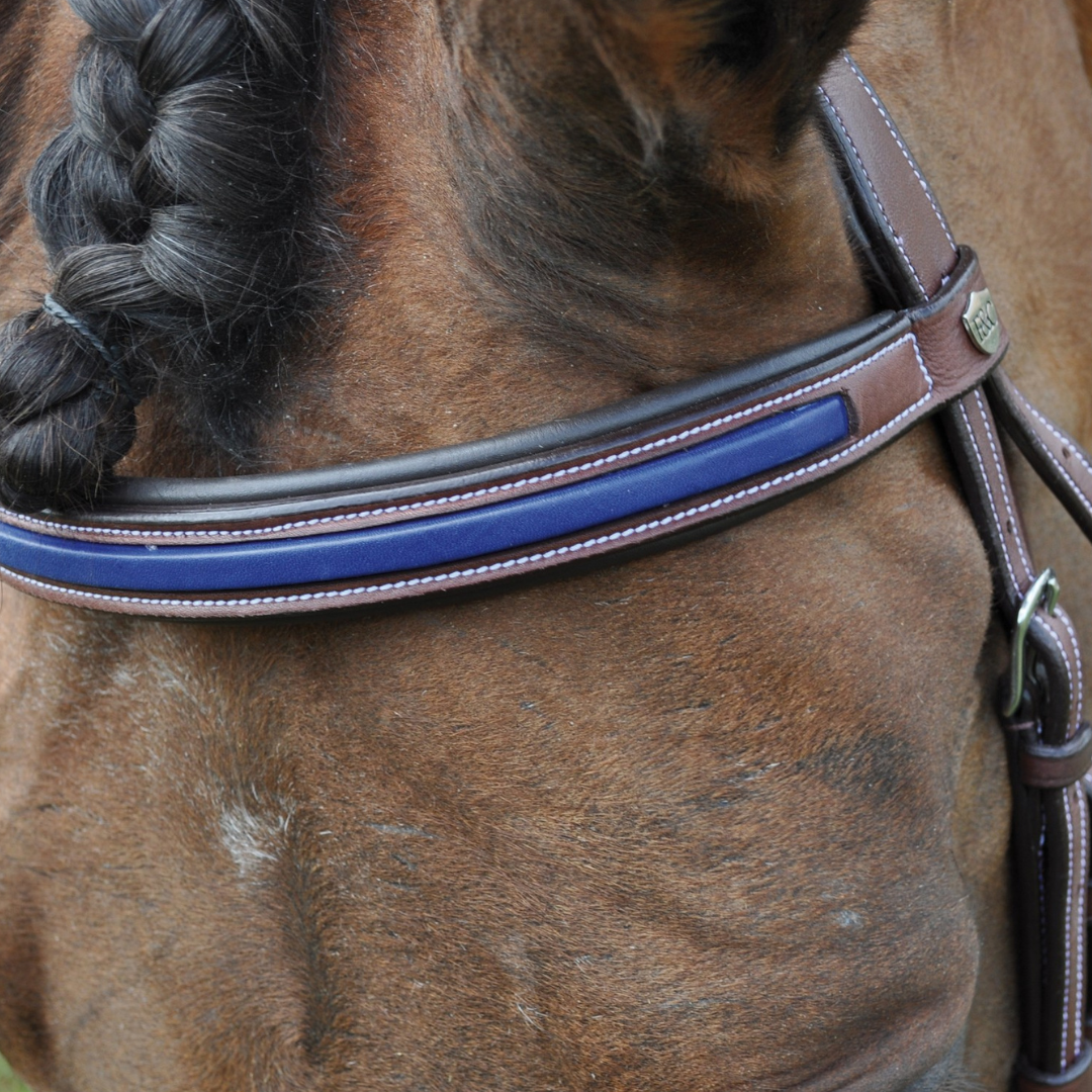 Bridon + rênes Paris Flags & Cup