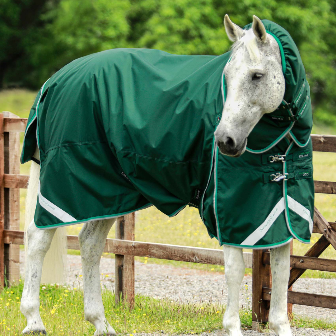 Couverture et couvre-cou élastique Buster Premier Equine