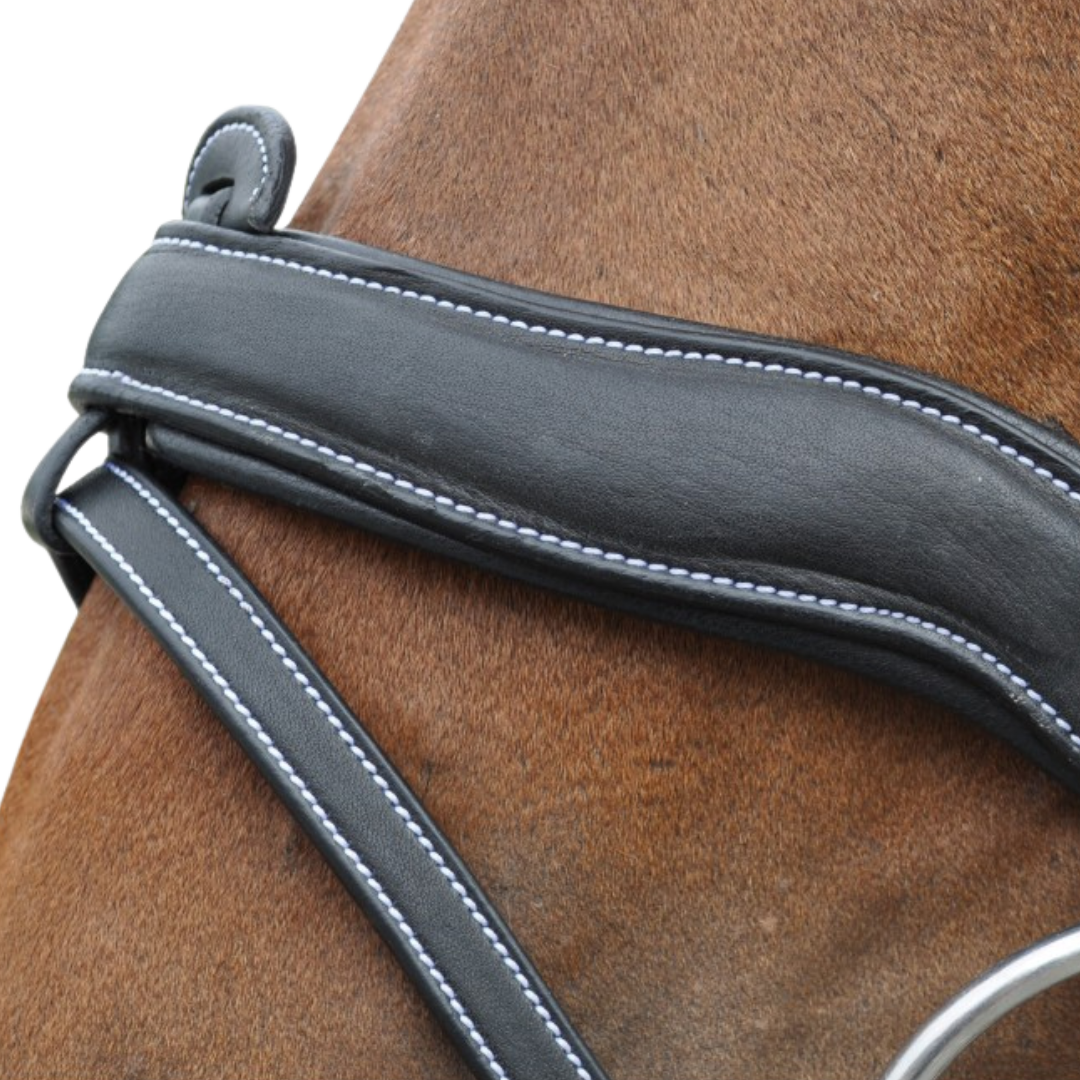 Bridon + rênes Comfort Flags & Cup