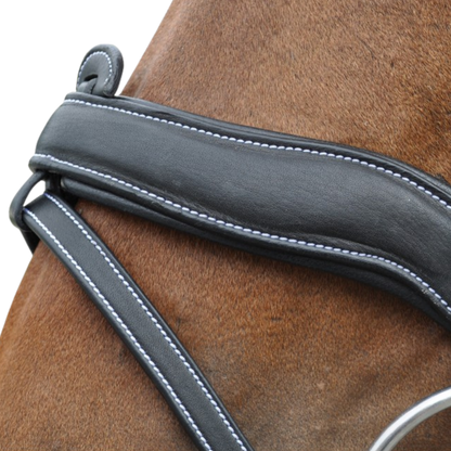 Bridon + rênes Comfort Flags & Cup