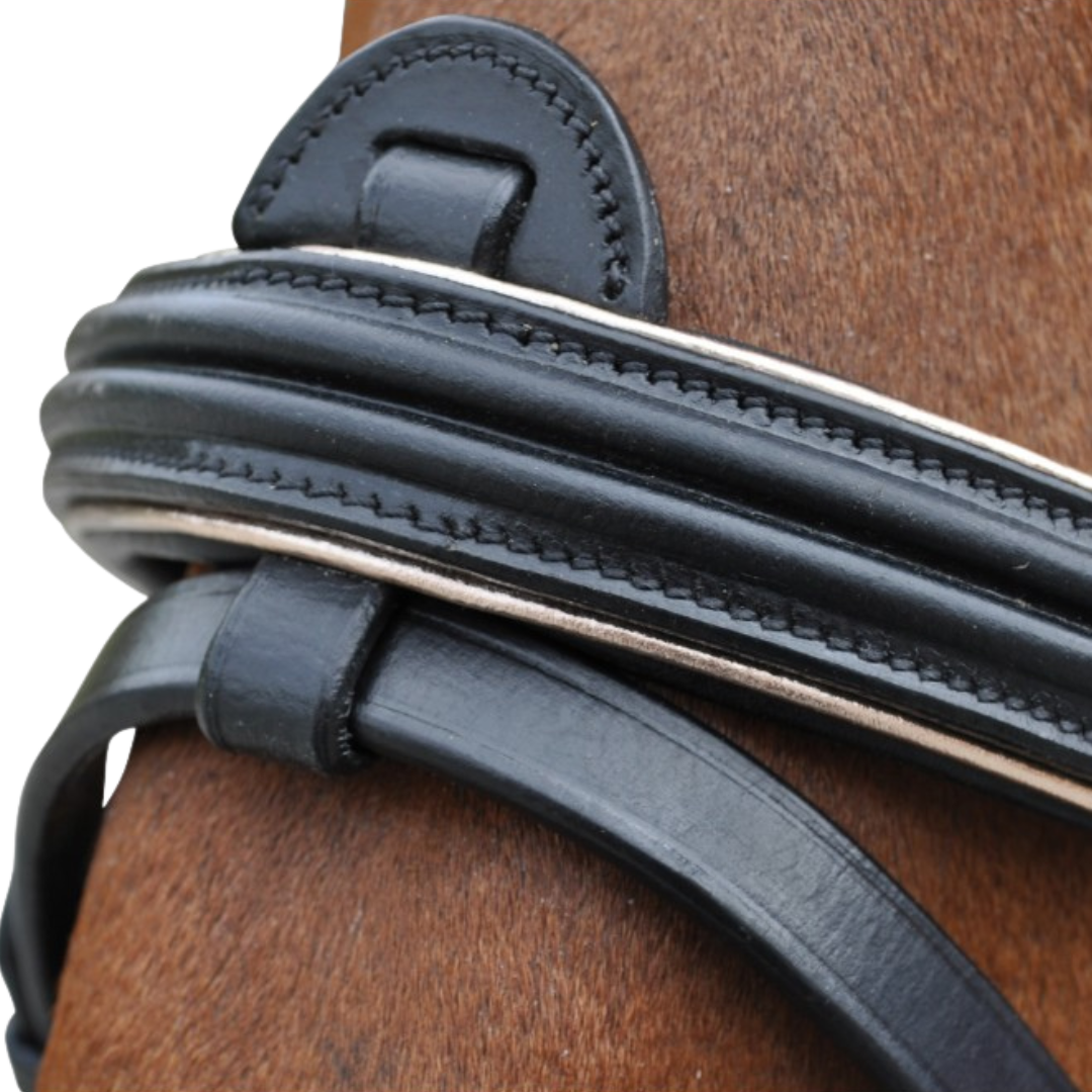 Bridon + rênes Rose gold Canter