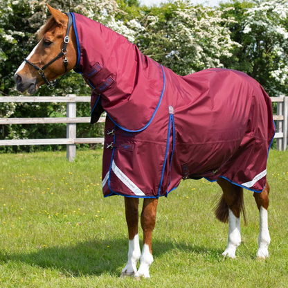 Couverture et couvre-cou classique Buster Premier Equine