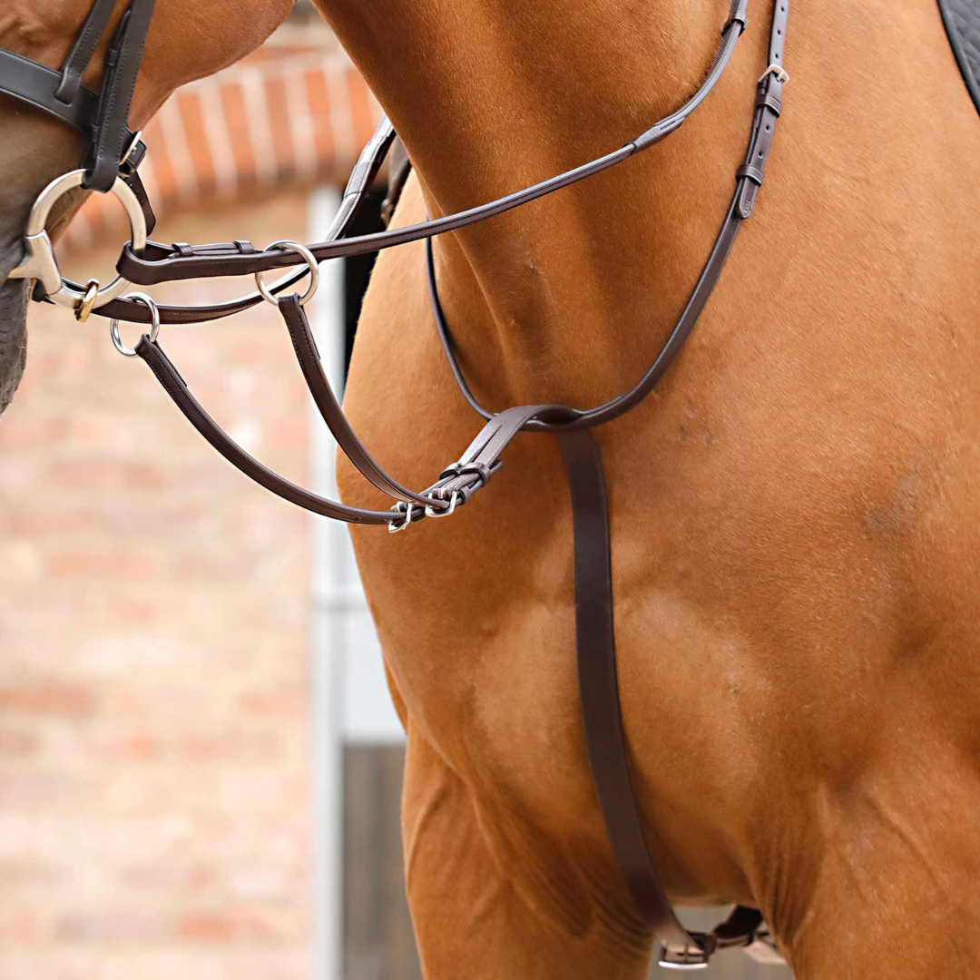 Martingale Santadi Premier Equine
