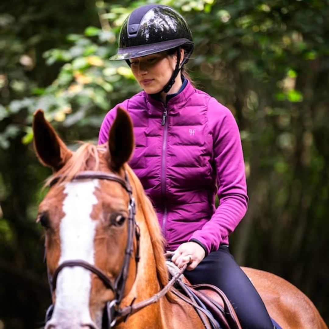 Veste hybride Storm Horse Pilot