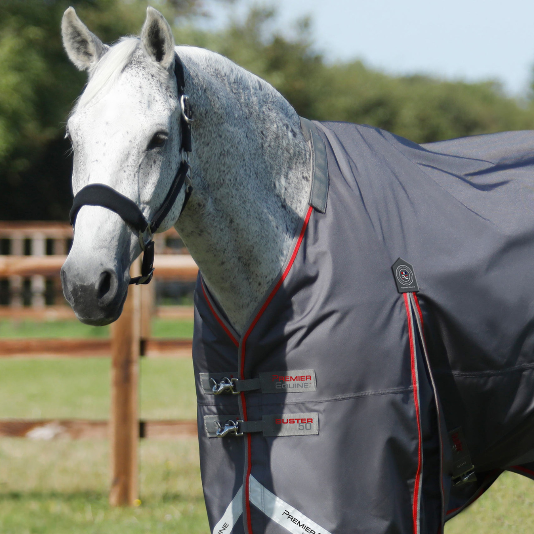 Couverture et couvre-cou élastique Buster Premier Equine