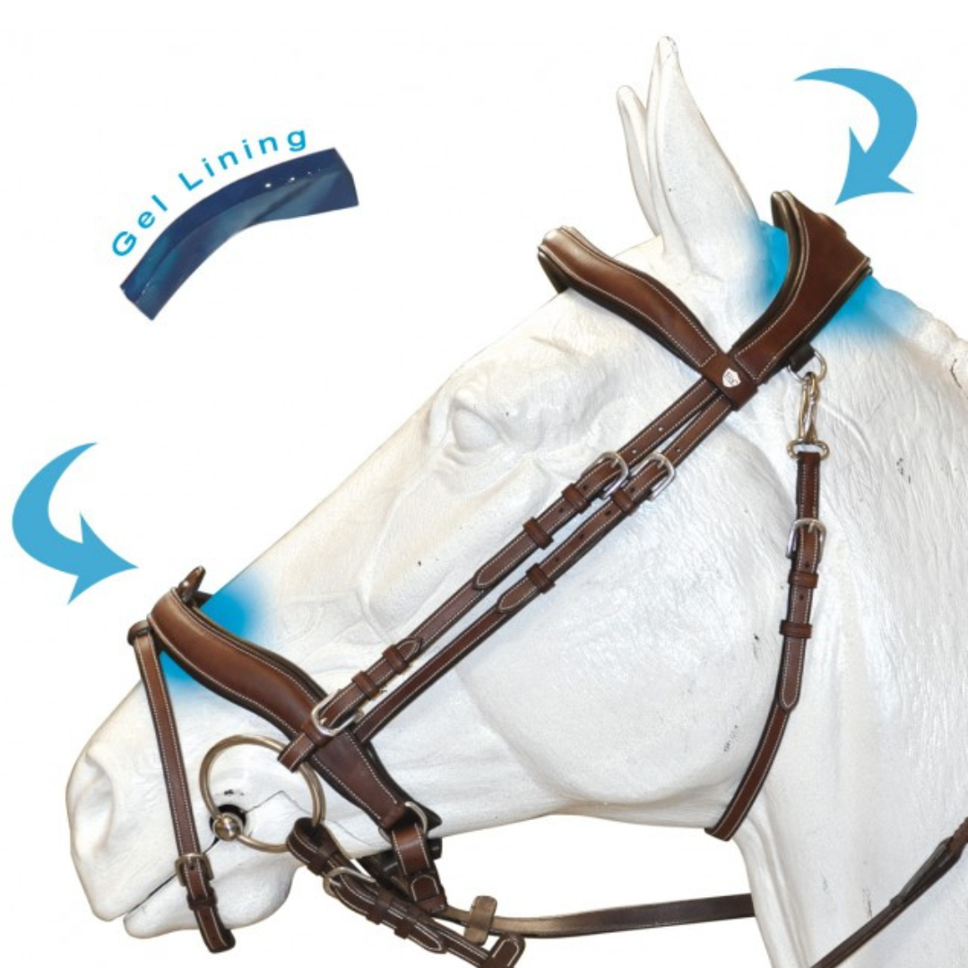 Bridon + rênes Comfort Flags & Cup