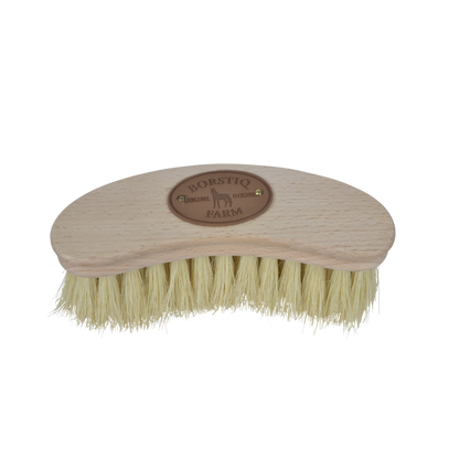 Brosse Banane Cactus Borstiq