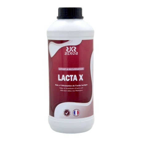 Lacta X Rekor