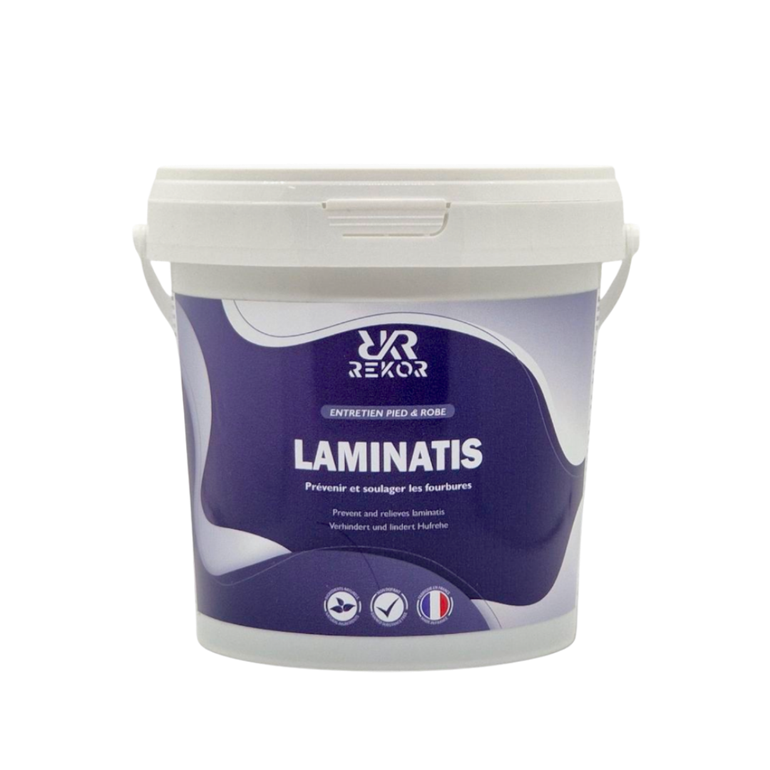 Laminatis Rekor
