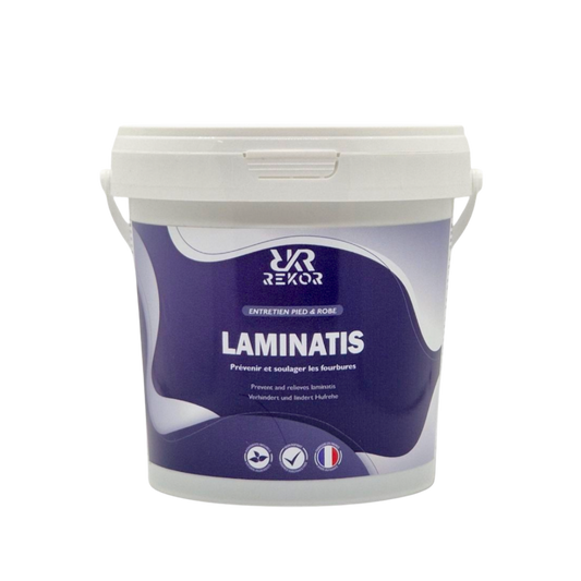 Laminatis Rekor