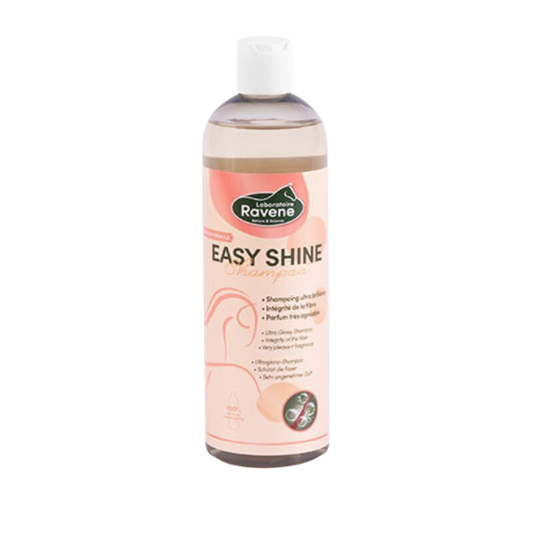 Shampooing Easy Shine Ravene